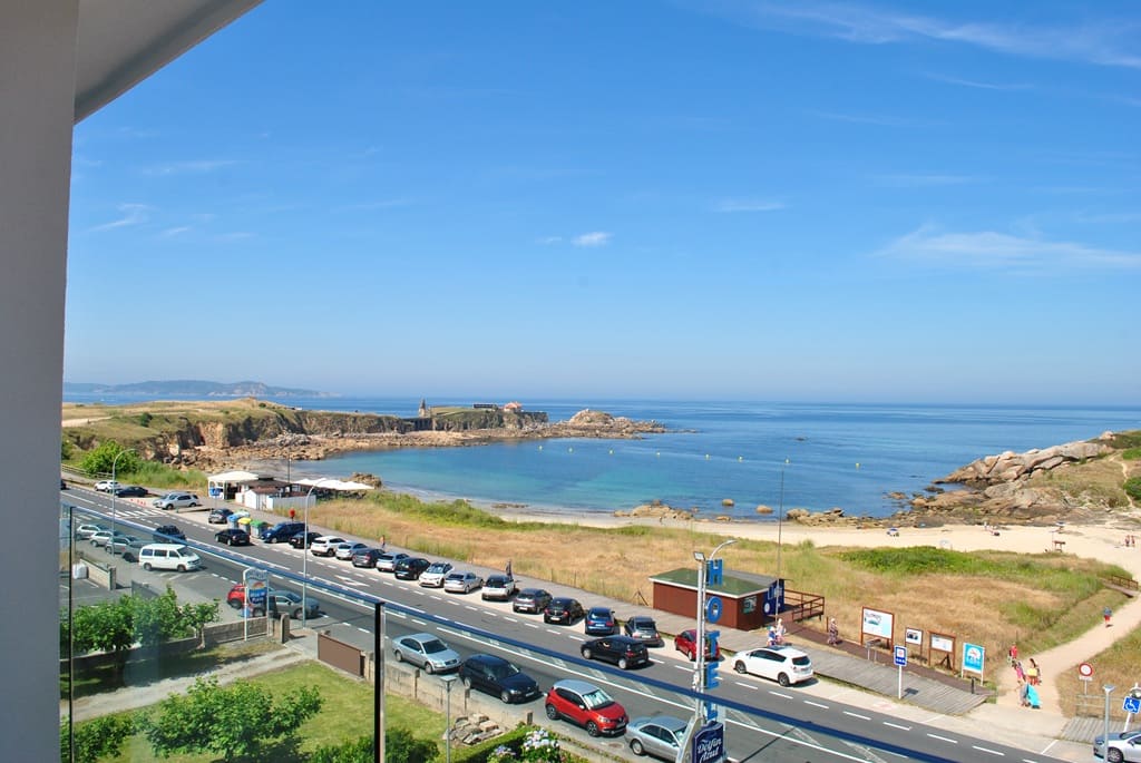 Delfín Azul