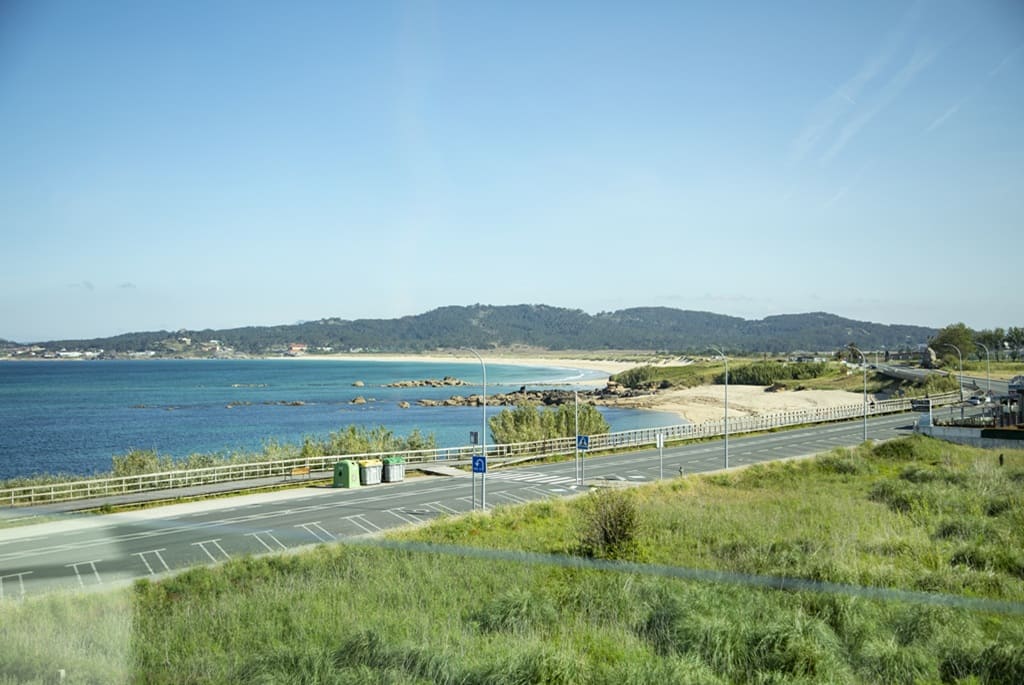 Delfín Azul